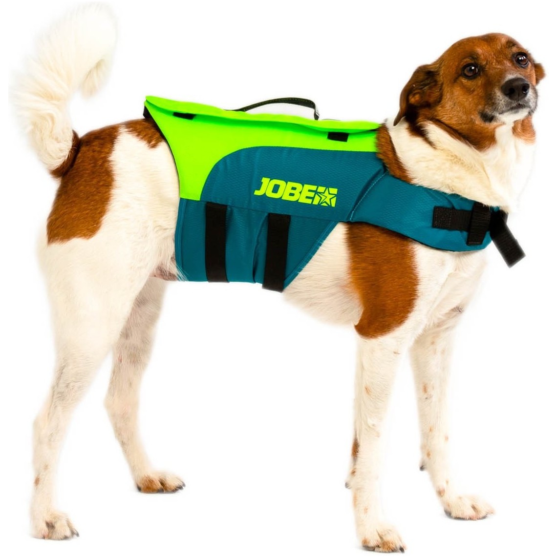 2026 Jobe Petvest 240023001 - Groenblauw