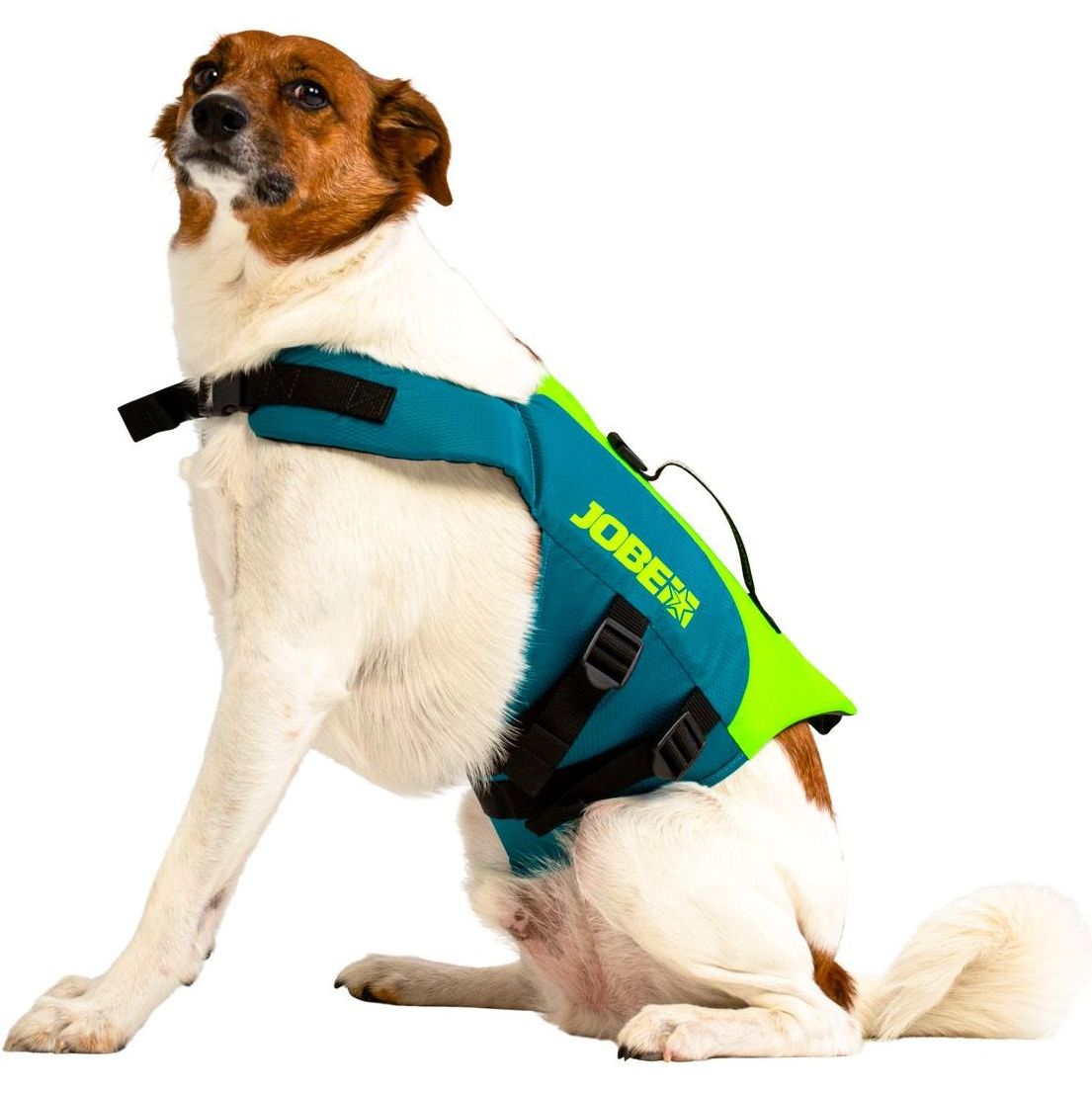 2026 Jobe Petvest 240023001 - Groenblauw