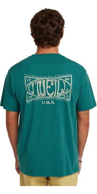 2026 ONeill Heren Doos Logo T-Shirt 2850353 - Botanical Heat
