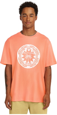 2026 ONeill Heren Moet-Have Grafische T-Shirt 2850368 - Funky Peach