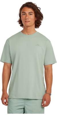 2026 O'Neill Heren Kleine Logo T-Shirt 2850371 - Marble Arch