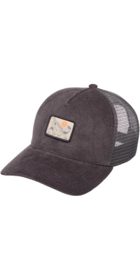 2026 Billabong Heren Draagbaar Trucker EBYHA00189 - Pewter
