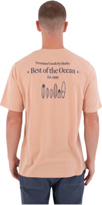 2026 Hurley Heren Drukkerij Biriri T-Shirt MTSEUED0002619 - Beach Clay