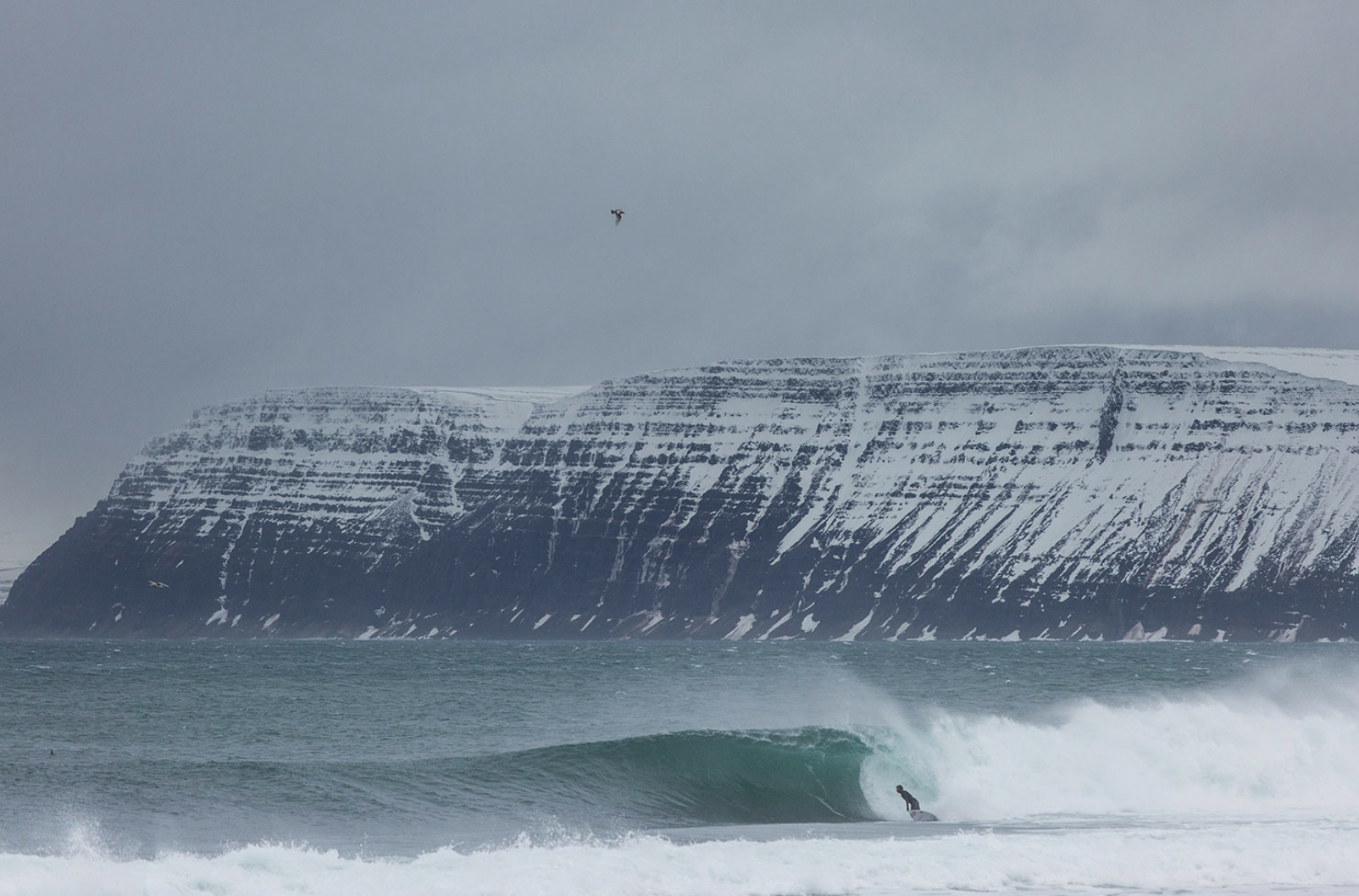 Cold grey seascape with a clean wave peeling in front of a long snow-dusted cliff